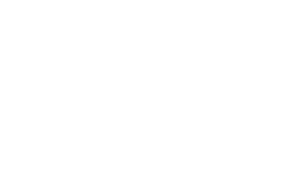 Hardscapes of Holly Springs