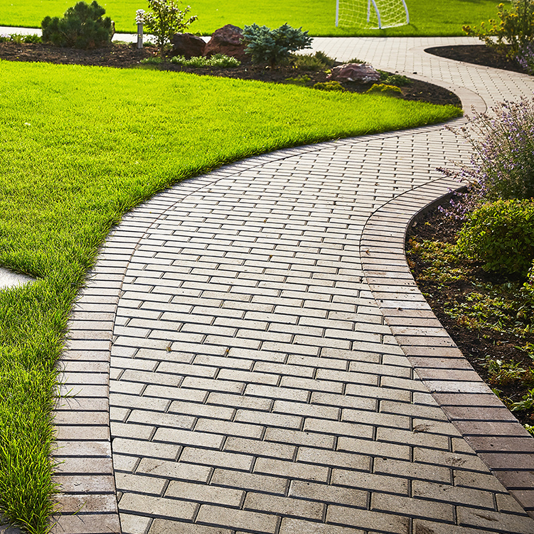 Patio and Walkway