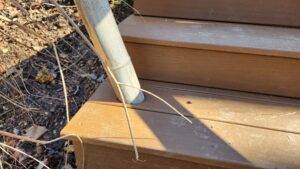 built stairs around bamboo