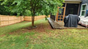 Backyard Before