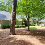 Before - Large front yard with natural area