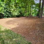 Before - Large Natural Area in Front Yard