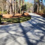 New curved concrete driveway through a wooded yard